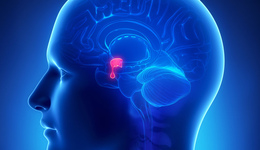 Фото: Синдром Шихана