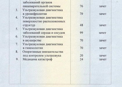 Приложение к диплому. Ншанян Сона Юрьевна.