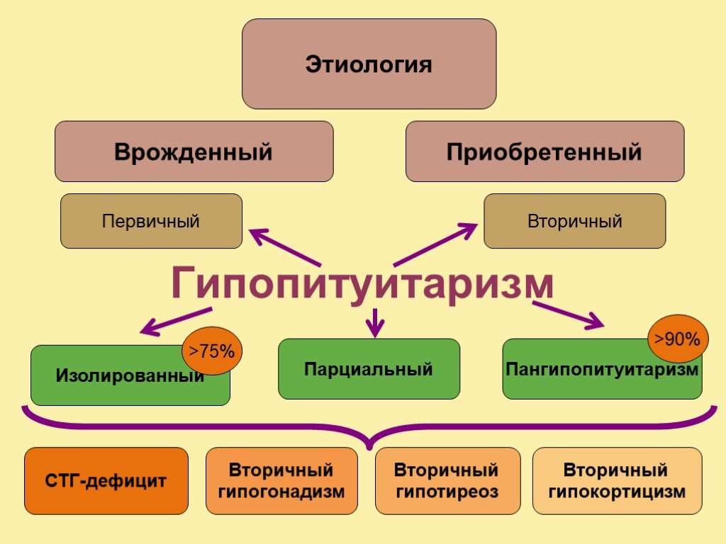 Фото: Классификация